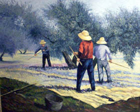 20060605103615-aceituneros.jpg